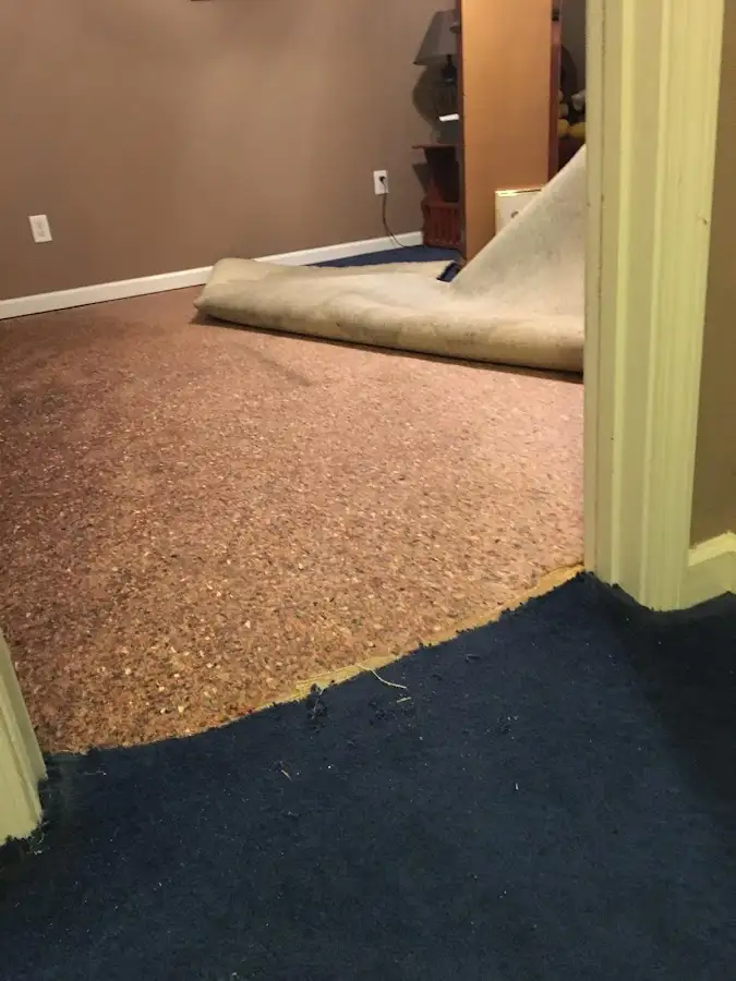 Carpet pad removal revealing water damage during Water Mitigation Services in Paramus