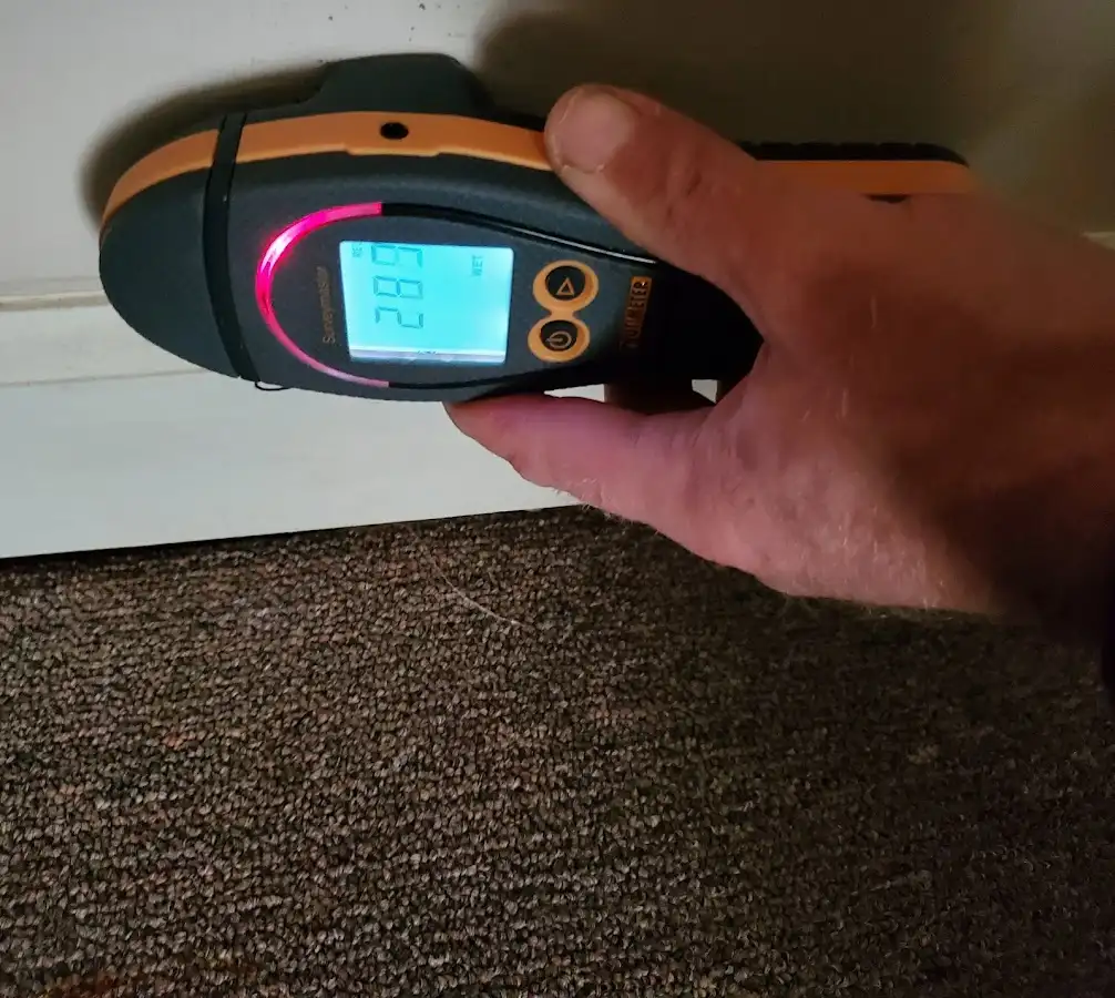 Moisture detection at baseboard during Sewage Cleanup & Sanitation in Paramus